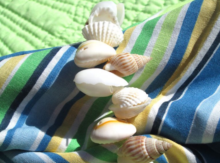 Tutorial: Shell Napkin Rings