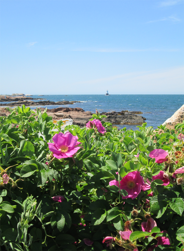 little-compton-rhode-island
