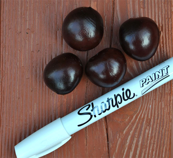 conkers sharpies