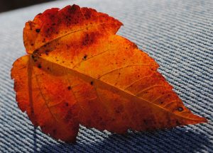 lancaster county fall colors