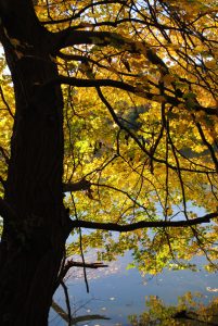 lancaster county fall colors