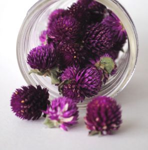 preserving flowers