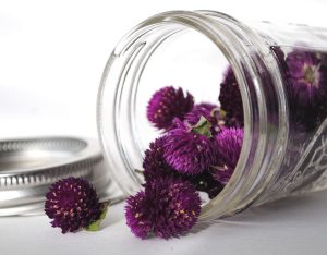 preserving flowers