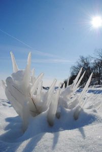 polar vortex 2019 chicago