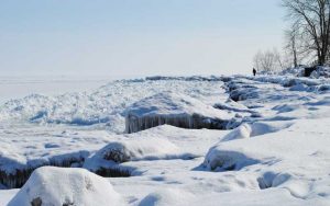 polar vortex 2019 chicago