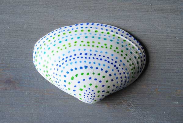 decorated shells