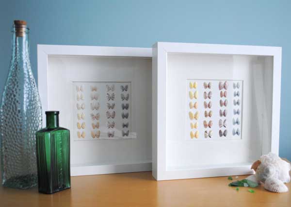framed shell art