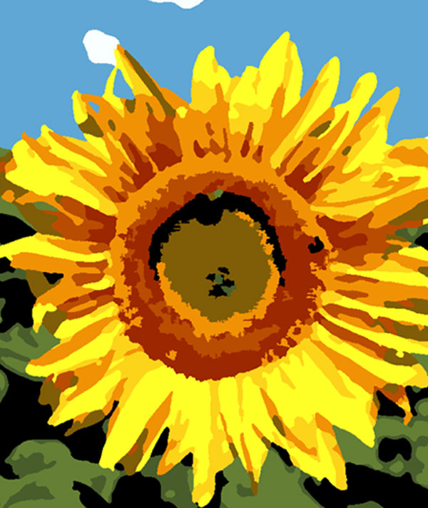 Paint by number free download