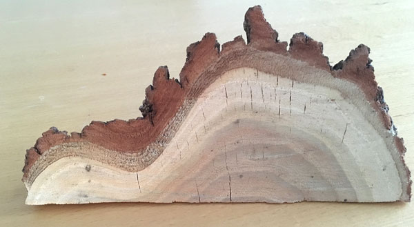 raw wood wedge