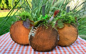 rustic wood pumpkins