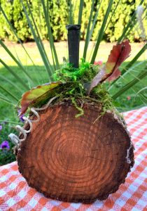 rustic wood pumpkin craft