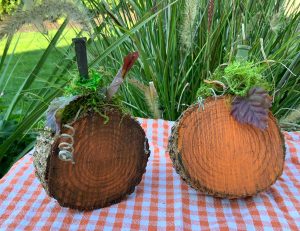 wooden pumpkin project