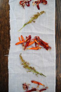 dye fabric with petals