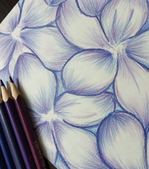 Pencil Drawings & Creative Art | Facebook-saigonsouth.com.vn