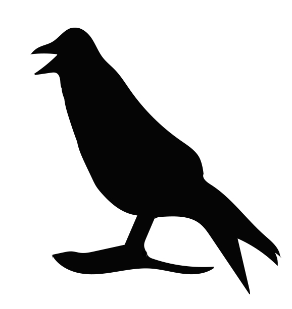crow