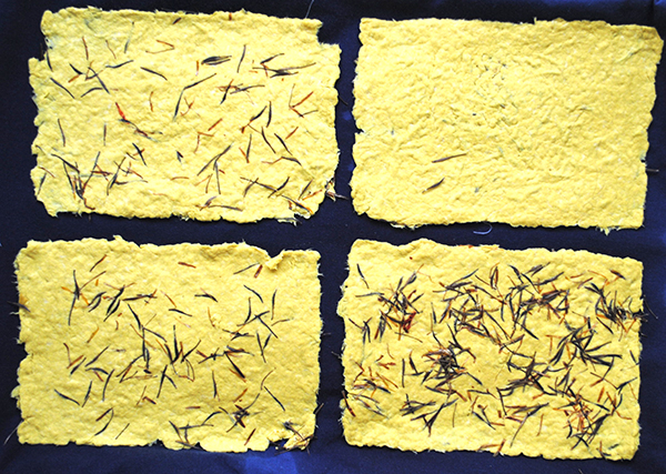 seed paper