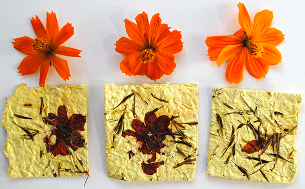 seed paper diy