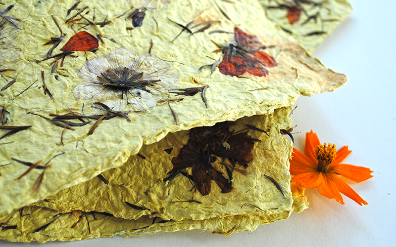 Seed paper; Full tutorial on how to make Seed Paper