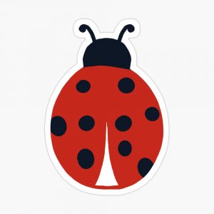 ladybird sticker