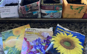 seed packets diy seed pot