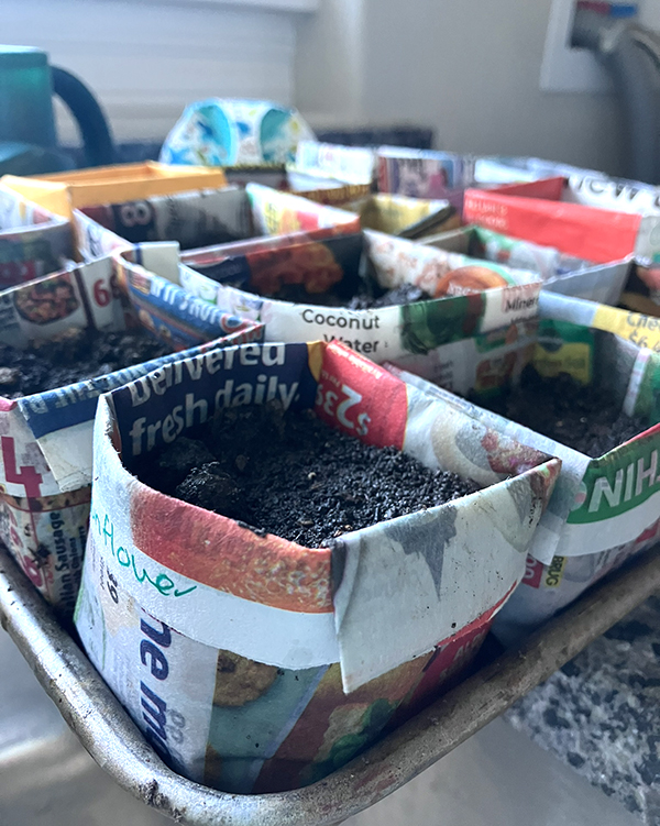 diy seed pot from junk mail paper