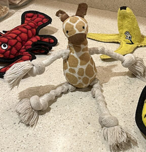 dog toy gerry giraffe