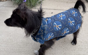 sew a little dog coat